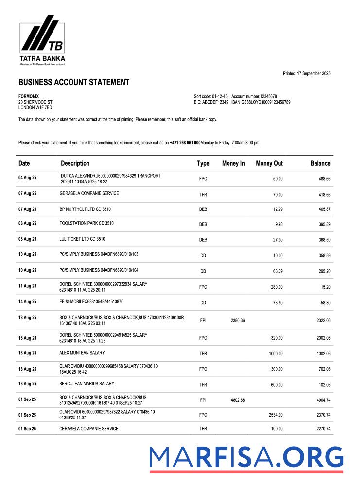 Blank Slovak Tatra firm account statement Word and PDF template